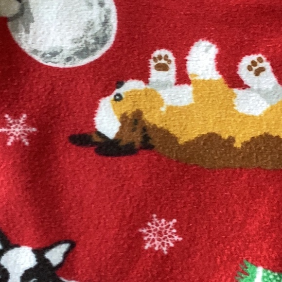 Nick & Nora Winter Pups Flannel Pajama Set Size L - Picture 14 of 16